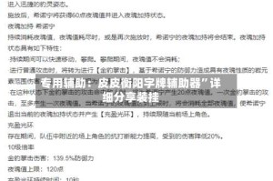专用辅助：皮皮衡阳字牌辅助器”详细分享装挂