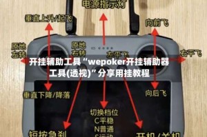 开挂辅助工具“wepoker开挂辅助器工具(透视)”分享用挂教程