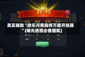 真实辅助“微乐河南麻将万能开挂器”(曝光透视必备猫腻)