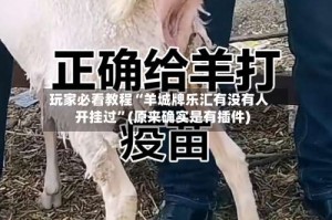 玩家必看教程“羊城牌乐汇有没有人开挂过”(原来确实是有插件)