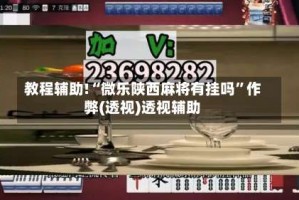 教程辅助!“微乐陕西麻将有挂吗”作弊(透视)透视辅助