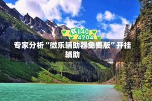 专家分析“微乐辅助器免费版”开挂辅助