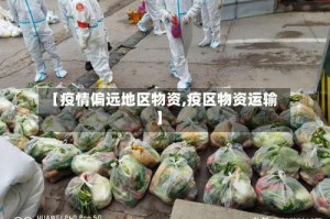 【疫情偏远地区物资,疫区物资运输】