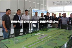 武汉大学刘伟1980／武汉大学刘伟驰