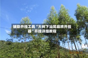 辅助开挂工具“大树下汕尾麻将开挂器”开挂详细教程