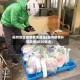 福州地区疫情有免租金(福州疫情补贴政策2020标准)