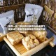 推荐一款“微乐四川麻将外卦神器下载安卓”详细开挂教程官方正版下载