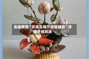 实操教程“贝壳互娱厅透视辅助”详细开挂玩法