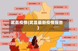 武昌疫情(武昌最新疫情报告)
