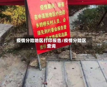 疫情分险地区打印报告/疫情分险区查询