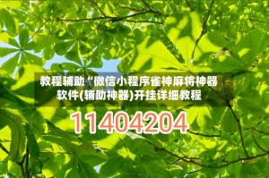 教程辅助“微信小程序雀神麻将神器软件(辅助神器)开挂详细教程