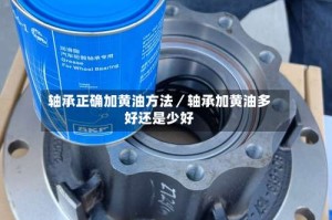 轴承正确加黄油方法／轴承加黄油多好还是少好