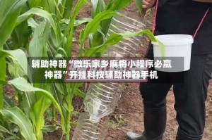 辅助神器“微乐家乡麻将小程序必赢神器”开挂科技辅助神器手机
