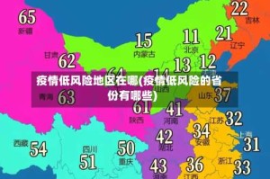 疫情低风险地区在哪(疫情低风险的省份有哪些)