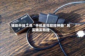 辅助开挂工具“手机金花软挂神器”其实确实有挂