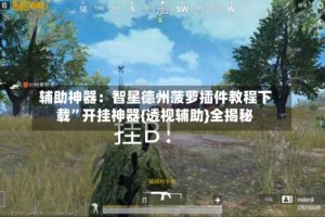 辅助神器：智星德州菠萝插件教程下载”开挂神器{透视辅助}全揭秘