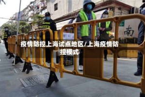 疫情防控上海试点地区/上海疫情防控模式