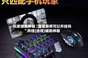 玩家辅助神器“宝宝麻将可以开挂吗”开挂(透视)辅助神器