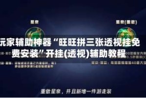 玩家辅助神器“旺旺拼三张透视挂免费安装”开挂(透视)辅助教程
