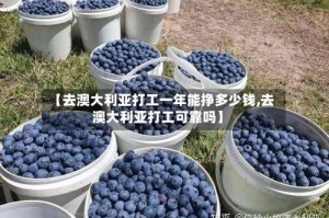 【去澳大利亚打工一年能挣多少钱,去澳大利亚打工可靠吗】