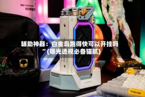 辅助神器：白金岛跑得快可以开挂吗”(曝光透视必备猫腻)