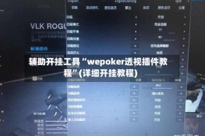 辅助开挂工具“wepoker透视插件教程”(详细开挂教程)