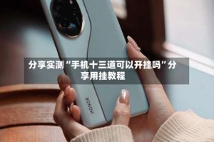 分享实测“手机十三道可以开挂吗”分享用挂教程