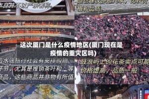 这次厦门是什么疫情地区(厦门现在是疫情的重灾区吗)