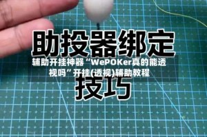 辅助开挂神器“WePOKer真的能透视吗”开挂(透视)辅助教程