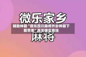 辅助神器“微乐四川麻将外卦神器下载苹果”其实确实有挂