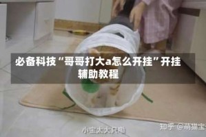 必备科技“哥哥打大a怎么开挂”开挂辅助教程