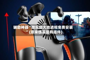 辅助神器“微乐锄大地透视免费安装”(原来确实是有插件)