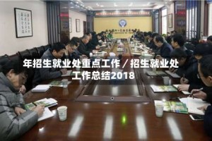 年招生就业处重点工作／招生就业处工作总结2018