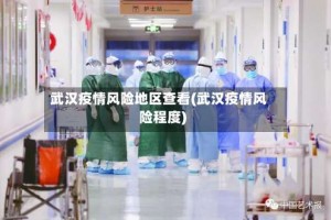 武汉疫情风险地区查看(武汉疫情风险程度)