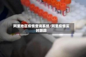 阿里地区疫情查询系统/阿里疫情实时跟踪