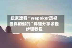 玩家速看“wepoker透视挂真的假的”详细分享装挂步骤教程