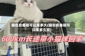 猫在后备箱可以呆多久(猫在后备箱可以呆多久啊)