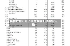 疫情数据汇总／疫情数据汇总表怎么做