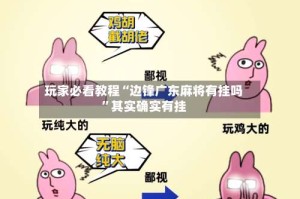 玩家必看教程“边锋广东麻将有挂吗”其实确实有挂