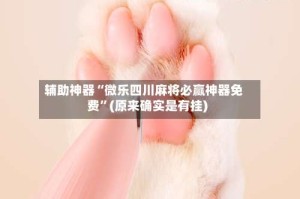 辅助神器“微乐四川麻将必赢神器免费”(原来确实是有挂)