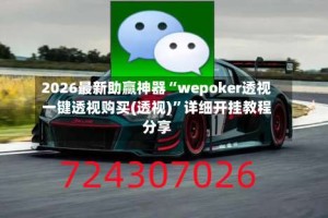 2026最新助赢神器“wepoker透视一键透视购买(透视)”详细开挂教程分享