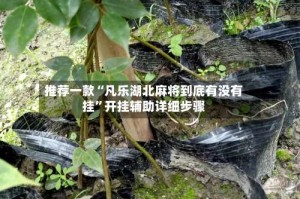 推荐一款“凡乐湖北麻将到底有没有挂”开挂辅助详细步骤