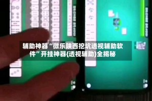 辅助神器“微乐陕西挖坑透视辅助软件”开挂神器{透视辅助}全揭秘