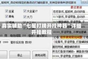 真实辅助“七星打牌开挂神器”详细开挂教程