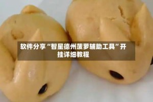 软件分享“智星德州菠萝辅助工具”开挂详细教程