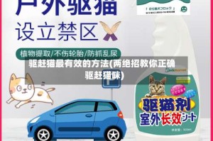 驱赶猫最有效的方法(两绝招教你正确驱赶猫咪)
