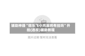 辅助神器“微乐飞小鸡麻将有挂吗”开挂(透视)辅助教程