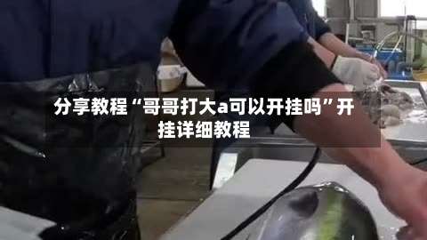 分享教程“哥哥打大a可以开挂吗”开挂详细教程-第1张图片