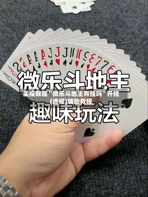 实操教程“微乐斗地主有挂吗”开挂(透视)辅助教程-第1张图片