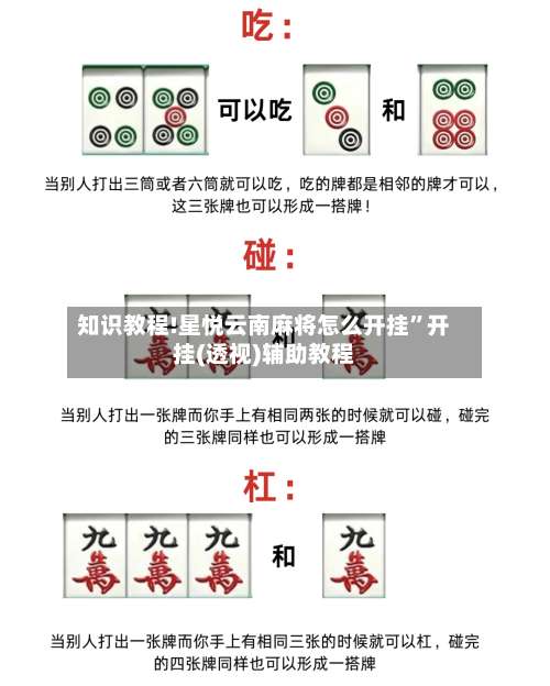 知识教程!星悦云南麻将怎么开挂	”开挂(透视)辅助教程-第1张图片